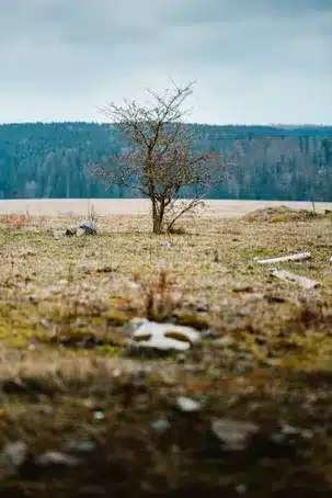 Abfluss-Notfälle:  Wenn das Wasser nicht mehr abläuft