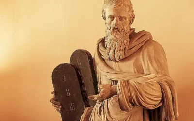 Das Mysterium der zehn unbewohnten Einfamilienhäuser in Sins: Ein Fallstudie zuEinfamilienhäusern Sinsund deren ungenutztem Potential