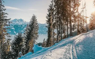 Das tragische Schicksal der Ski-Legende Blanca Fernández Ochoa: Eine umfassende Analyse des Falles und seiner Auswirkungen