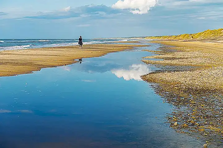 Der Einfluss der Schweizer Landschaft