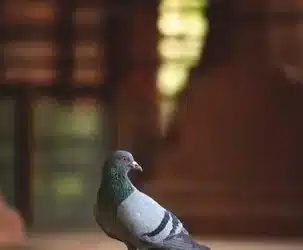 Schlussfolgerung
