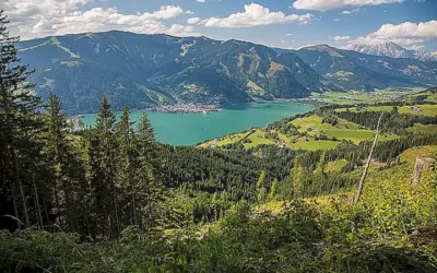 Der tragischeOetwil am See Unfallvom Montag: Analyse eines Unfalls und die Folgen für die GemeindeUnfall Oetwil am See