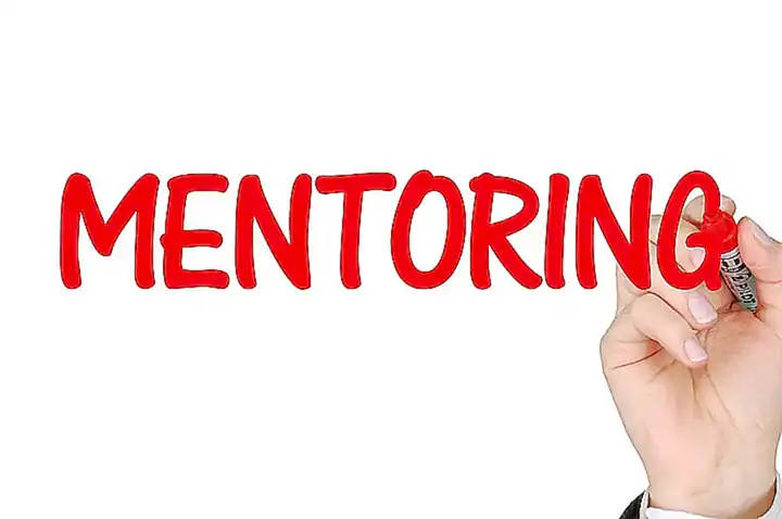 Die Bedeutung von Netzwerken und Mentoring