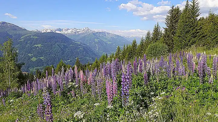 Die Rolle des Kantons Graubünden