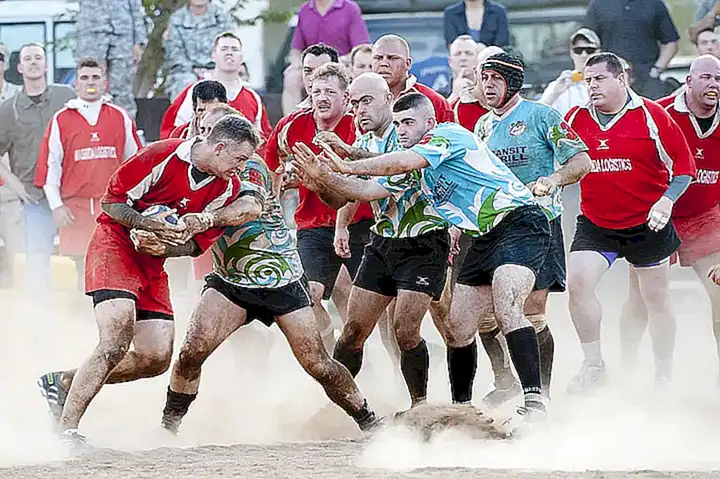 Die Rolle von SA Rugby und Stade Toulousain