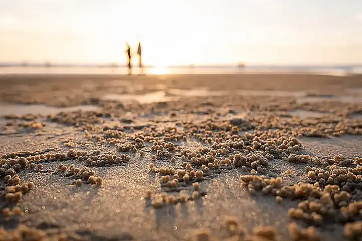 Die Traumhochzeit am Strand