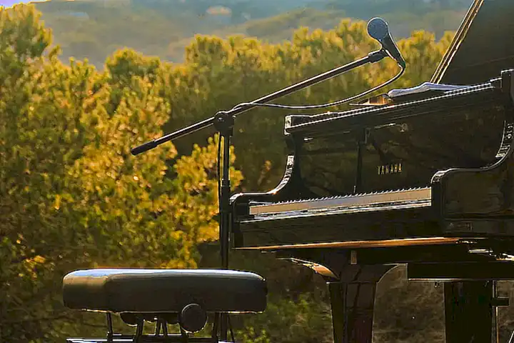 Fragen und Antworten zum Gampel Open Air