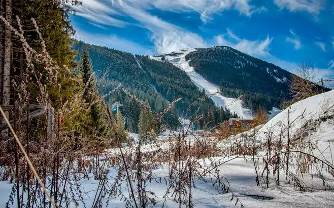 Fragen und Antworten zum Riesenslalom Bansko