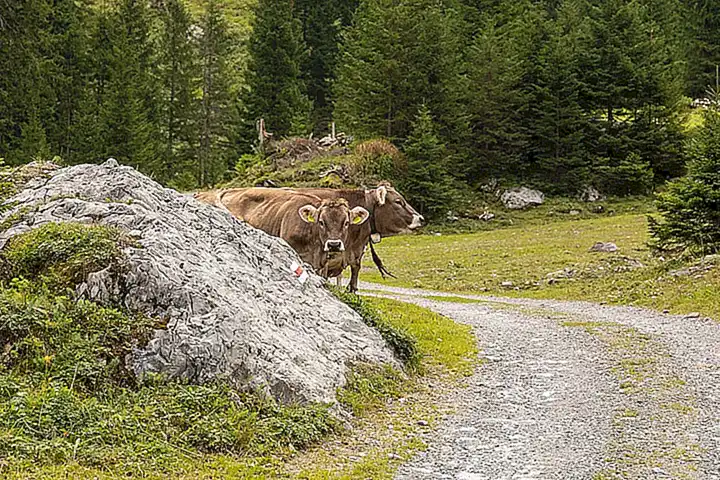 Geologische Vorgeschichte des Schächentals