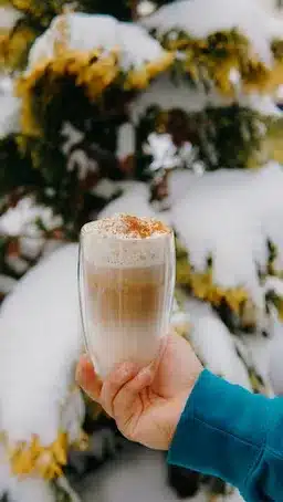Niederschlag und Schneefall