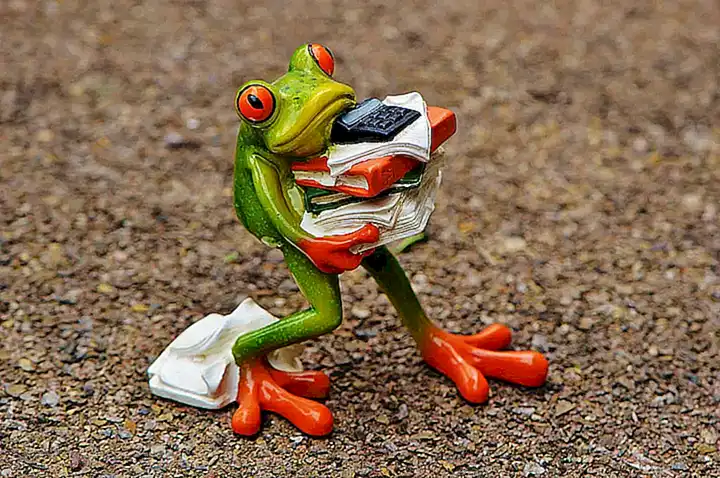 Psychologische Folgen und der Umgang mit Stress