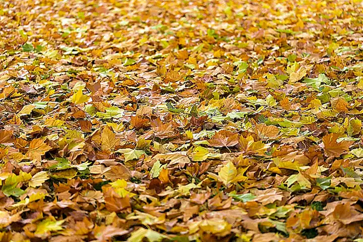 Roaming-Fallen und Auslandnutzung