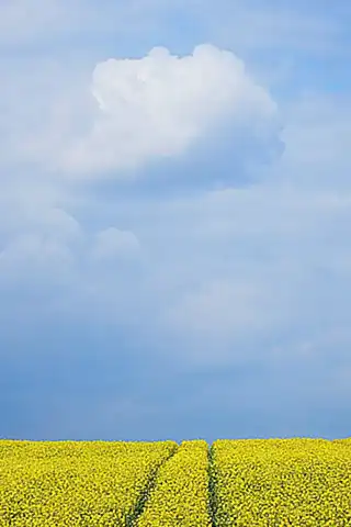 Zukunftsaussichten und Ausblick